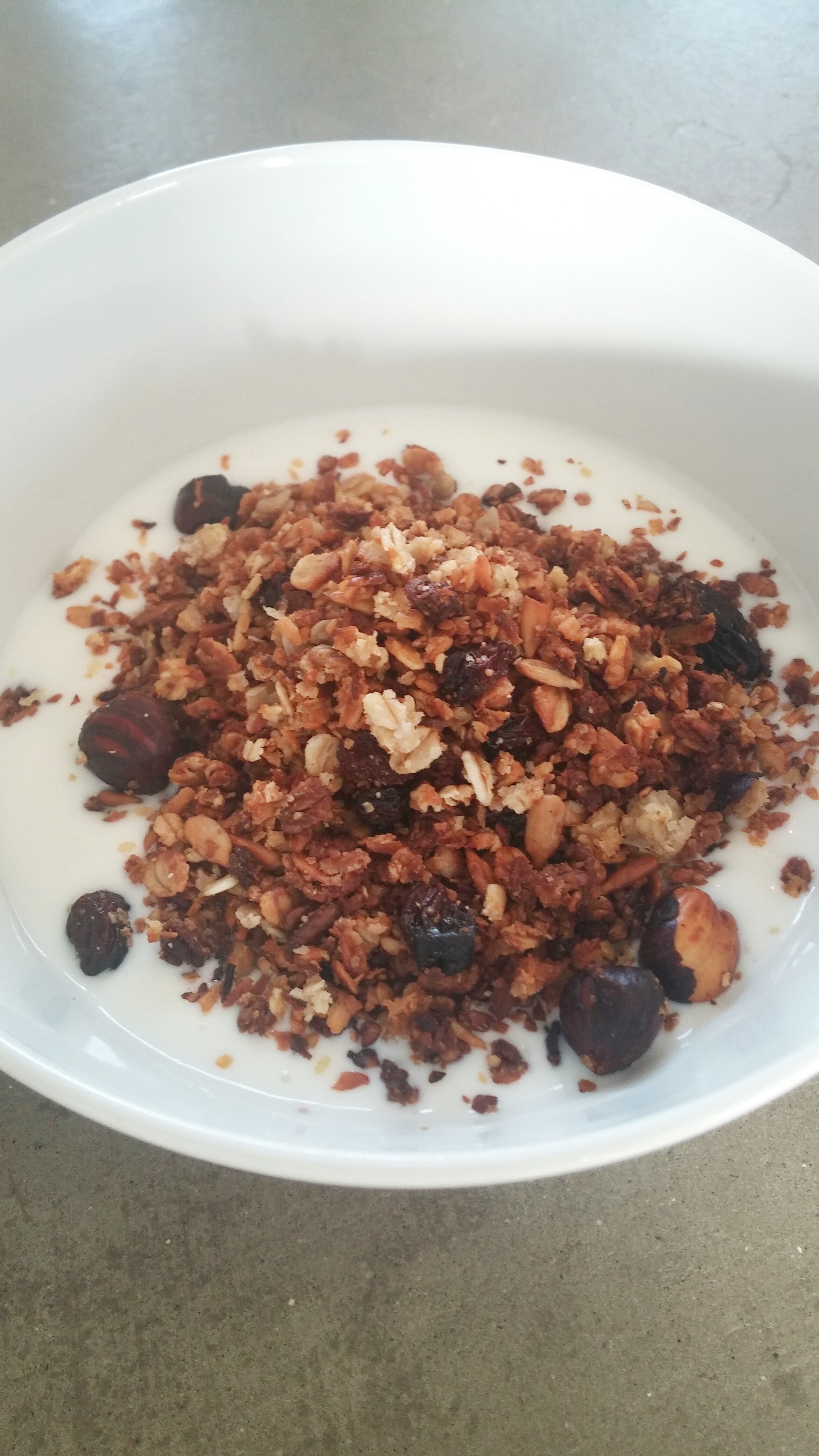 20150202_11430021 Hemmagjord granola